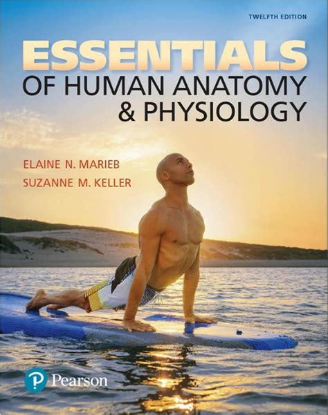 Pdf Human Anatomy Amp Physiology Latin And Greek Science Word Parts - Science Word Parts