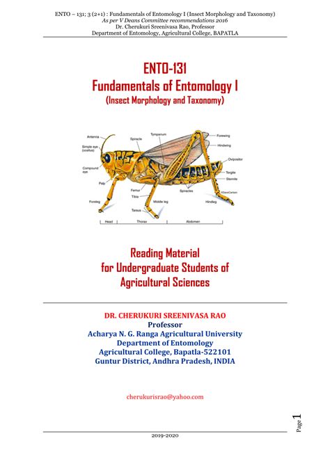 Pdf Insect Anatomy And Physiology University Of Nebraska Parts Of An Insect - Parts Of An Insect