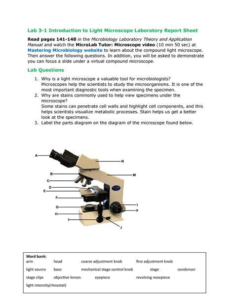 Pdf Introduction To The Microscope Lab Activity Microscope Activity Worksheet - Microscope Activity Worksheet