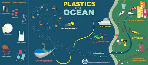 Pdf Itle Plastic Oceans International A Plastic Ocean Worksheet Answers - A Plastic Ocean Worksheet Answers