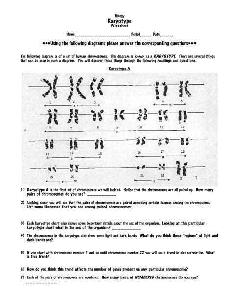 Pdf Karyotyping Worksheet Biology Karyotype Worksheet Answers Key - Biology Karyotype Worksheet Answers Key