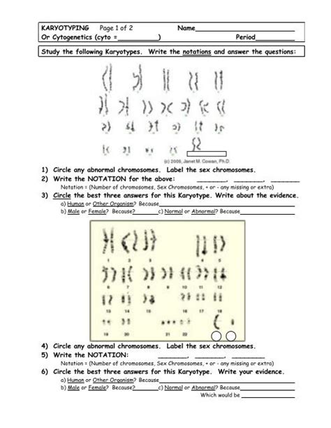 Pdf Karyotyping Worksheet Chromosome Matching Worksheet - Chromosome Matching Worksheet