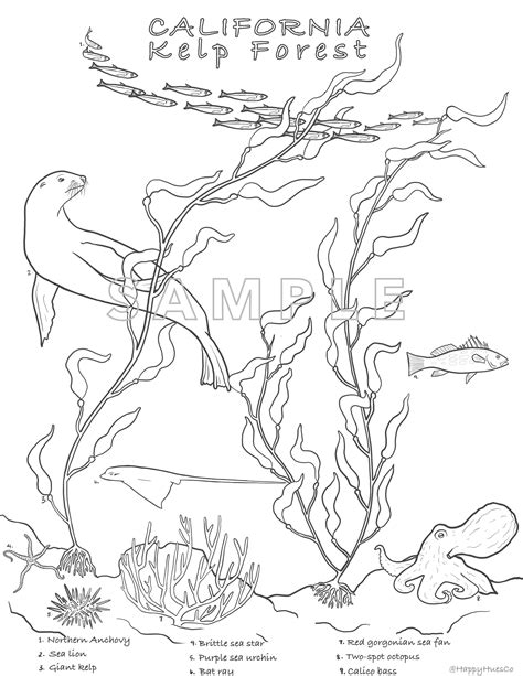 Pdf Kelp Forest Animals Coloring Page Monterey Bay Printable Aquarium Coloring Pages - Printable Aquarium Coloring Pages