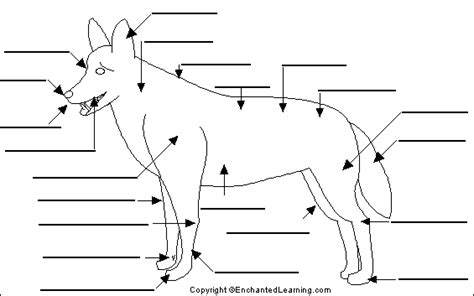 Pdf Label The Dog K5 Learning Labeling Worksheets For Kindergarten - Labeling Worksheets For Kindergarten