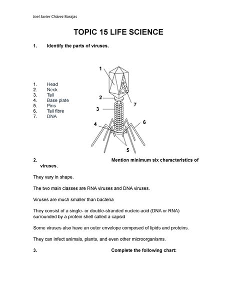 Pdf Lesson 4 15 Life Science Health Body Body Systems Worksheet Middle School - Body Systems Worksheet Middle School