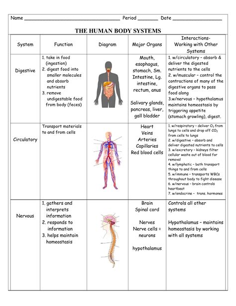 Pdf Lesson Plan 1 Body Systems The School Body Systems Worksheet Middle School - Body Systems Worksheet Middle School