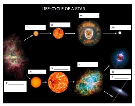 Pdf Life Cycle Of A Star Waterloo Region Characteristics Of Stars Worksheet - Characteristics Of Stars Worksheet