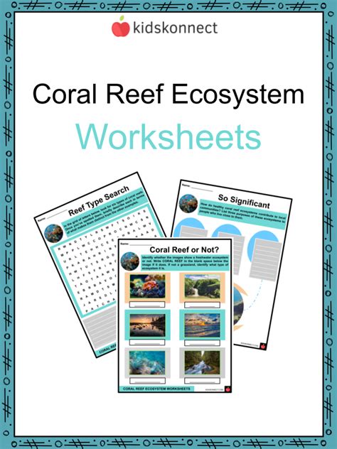 Pdf Marine Ecosystems Worksheet Reef Relief Marine Ecosystems Worksheet - Marine Ecosystems Worksheet