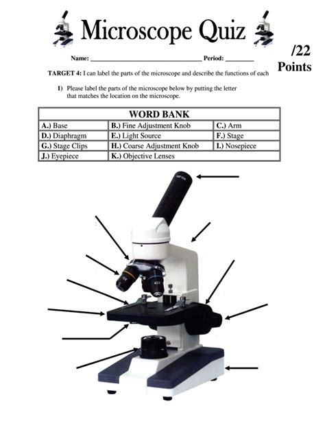 Pdf Microscope Exercise 1 Pbworks Microscope Practice Worksheet - Microscope Practice Worksheet
