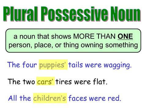 Pdf Name Date Plural Vs Possessive Nouns Plural Possessive Nouns Worksheet - Plural Possessive Nouns Worksheet