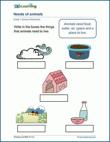 Pdf Needs Of Animals Worksheet K5 Learning Basic Animal Science Worksheet - Basic Animal Science Worksheet