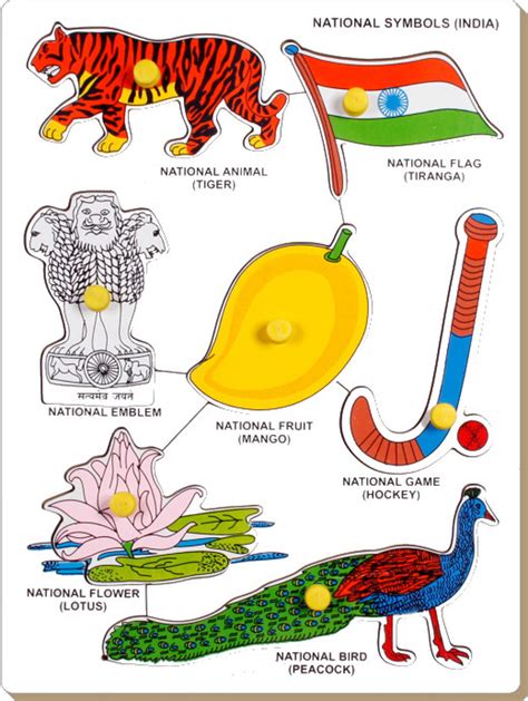 Pdf Our National Symbols Worksheet Wgskolkata Com National Symbols Worksheet - National Symbols Worksheet