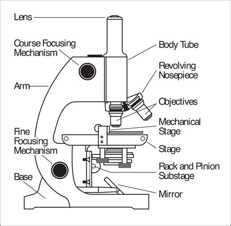 Pdf Parts Of A Microscope Printables Homeschool Creations Labeling Microscope Worksheet 7th Grade - Labeling Microscope Worksheet 7th Grade