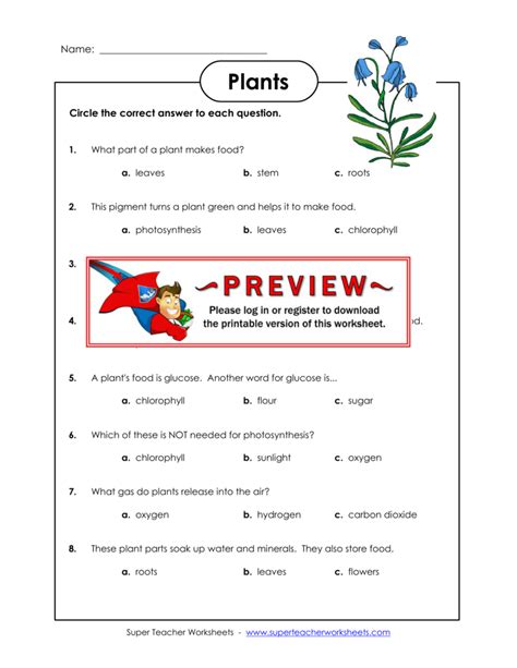 Pdf Plant Vocabulary Matching Super Teacher Worksheets Plant Vocabulary Worksheet - Plant Vocabulary Worksheet