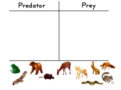 Pdf Predator And Prey Super Teacher Worksheets Predators And Prey Worksheet - Predators And Prey Worksheet