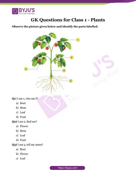 Pdf Questions And Answers Plant Questions And Answers - Plant Questions And Answers