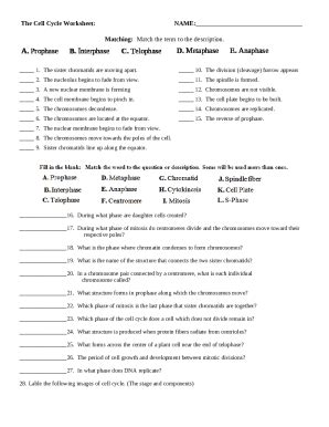 Pdf Review Worksheet Key Chandler Unified School District Newton S 3rd Law Worksheet - Newton's 3rd Law Worksheet