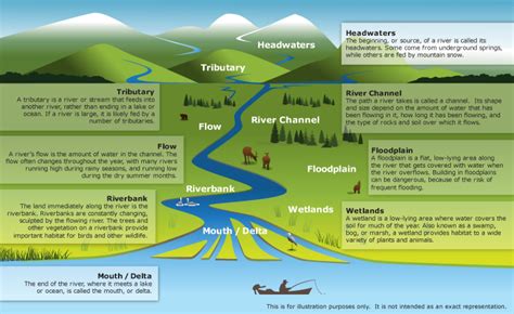 Pdf Rivers And River System Key Loudoun County River System Worksheet - River System Worksheet