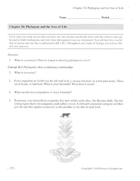Pdf Scanned Document Bronx High School Of Science Structure Of The Nephron Worksheet Answers - Structure Of The Nephron Worksheet Answers