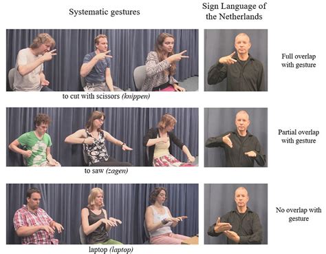 Pdf Science And Sign Language Researchgate Science In Sign Language - Science In Sign Language