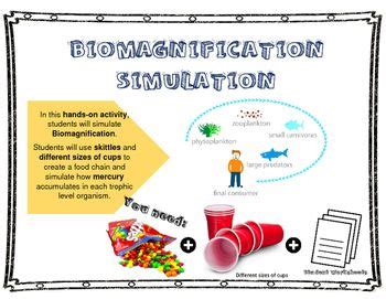 Pdf Simulation Lab Science Alcove Biomagnification Worksheet Answers - Biomagnification Worksheet Answers