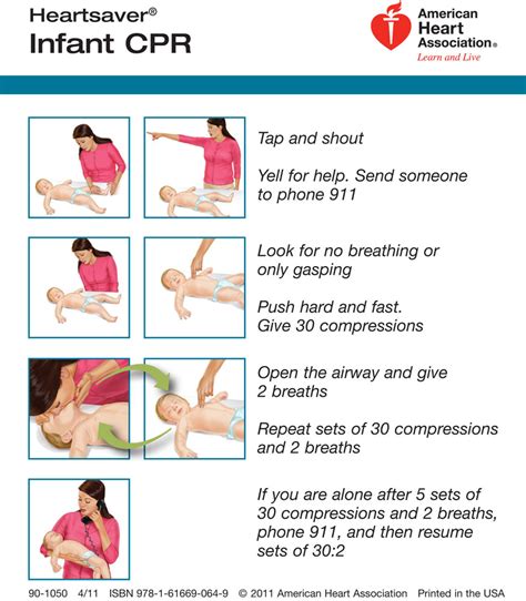 Pdf Skill Sheet Cpr For Infants Redcrosslearning Com Printable Infant Cpr Instructions - Printable Infant Cpr Instructions