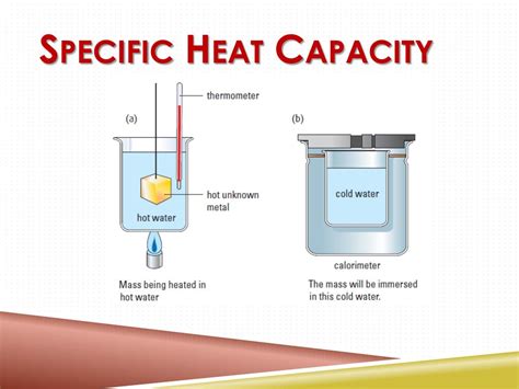 Pdf Specific Heat And Heat Capacity Worksheet New Heat Capacity Worksheet - Heat Capacity Worksheet