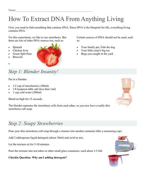 Pdf Strawberry Dna Extraction Lab Activity Sheet Name Strawberry Dna Extraction Worksheet - Strawberry Dna Extraction Worksheet