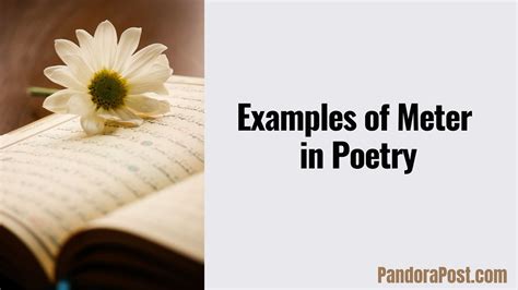 Pdf Talking About Poetry Meter Poetry Meter Worksheet - Poetry Meter Worksheet