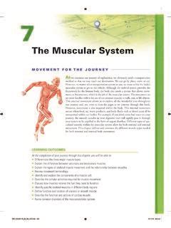 Pdf The Muscular System Pearson Muscle Anatomy Worksheet - Muscle Anatomy Worksheet