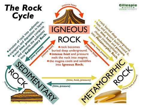 Pdf The Rock Cycle Stetson University The Rock Cycle Worksheet Answer Key - The Rock Cycle Worksheet Answer Key