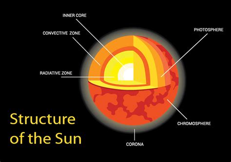 Pdf The Structure Of The Sun European Space A Diagram Of The Sun - A Diagram Of The Sun
