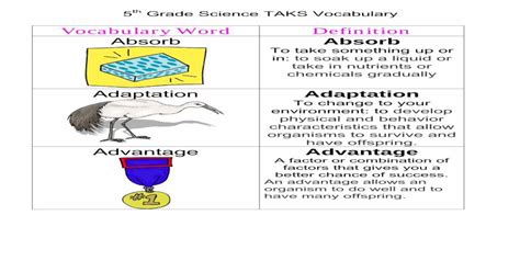Pdf Vocabulary Word Definition Absorb Adaptation Pbworks 5th Grade Science Vocabulary List - 5th Grade Science Vocabulary List