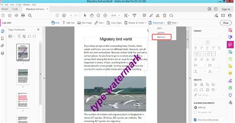 Pdf Watermark Remover
