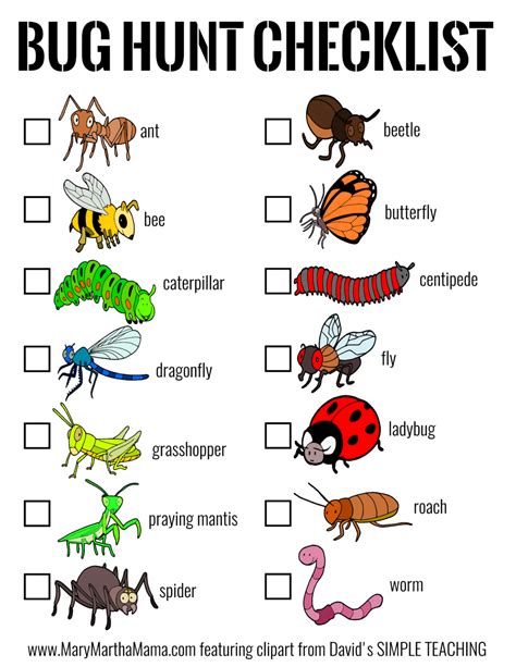 Pdf What Bugs You Utah Education Network Things That Bug Me Worksheet - Things That Bug Me Worksheet
