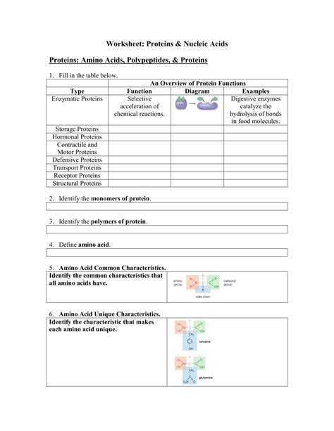 Pdf Worksheet Determination Of Protein Amino Acids From Codon Worksheet Answer - Codon Worksheet Answer