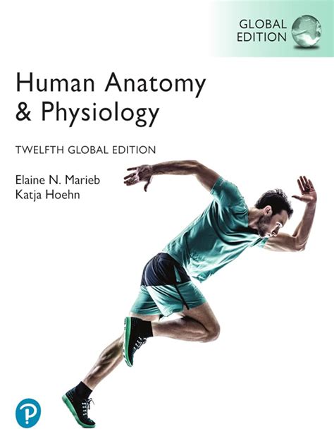 Full Download Pdf Human Anatomy Physiology 7E Marieb Wordpress 