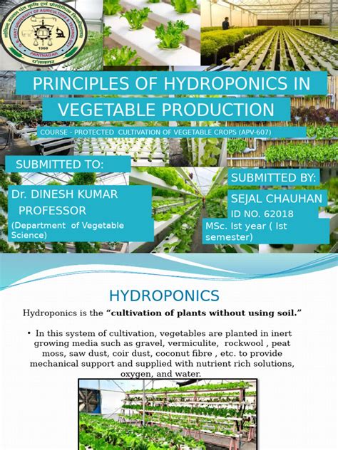 Download Pdf Hydroponics Wordpress 