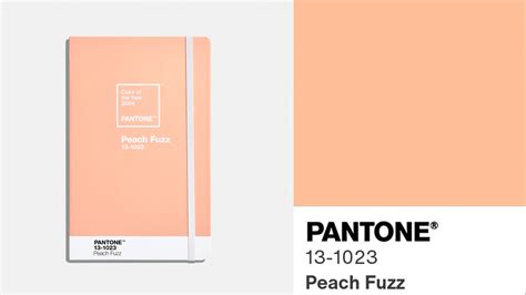 peach fuzz | Peach Fuzz Edition Son Kem L Merzy