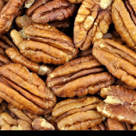 peacon creator profile