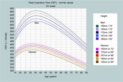 Peak Flow Calculator