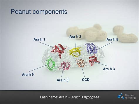 Peanut Component Testing Explained