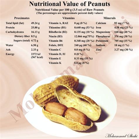 Peanut Composition Flavor And Nutrition Sciencedirect Peanut Science - Peanut Science