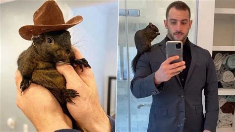 peanut the squirrel onlyfans