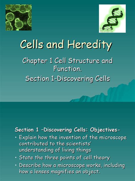 Pearson Cells And Heredity Chapter Test Answers