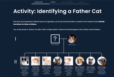 pearson education lab modern genetics answer