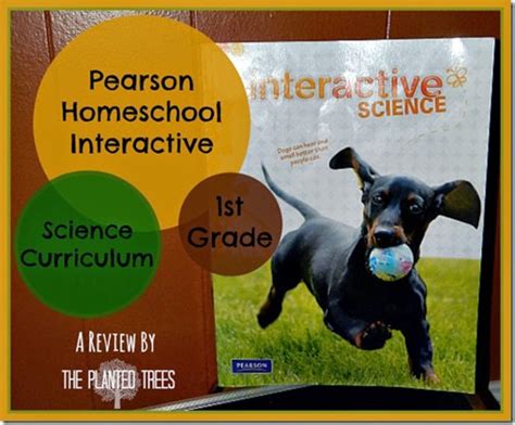 Pearson Homeschool Interactive Science A Review Pearson Interactive Science Answers - Pearson Interactive Science Answers