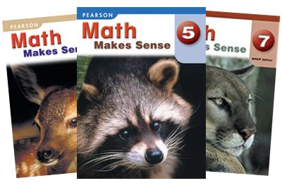 Pearson Math Makes Sense Grade 2