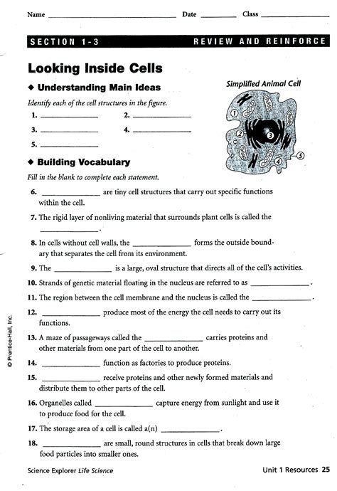 Download Pearson Education Inc Answers Worksheets 
