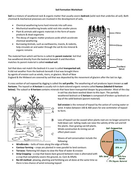 Download Pearson Education Soil Formation Answer Key 